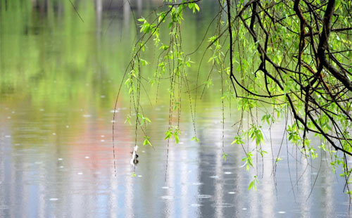 雨季的建筑守護(hù) —— 吉成建筑裝飾的產(chǎn)品在雨季的應(yīng)用實(shí)踐